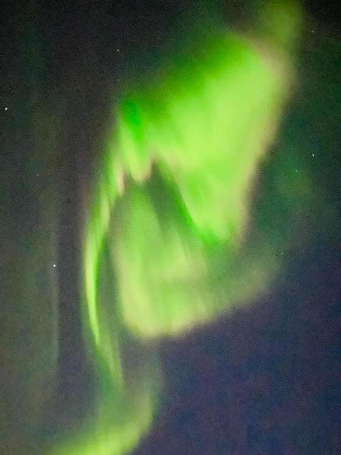 Idyllisk Sjohus Pa Naurstad Bodo Bagian luar foto