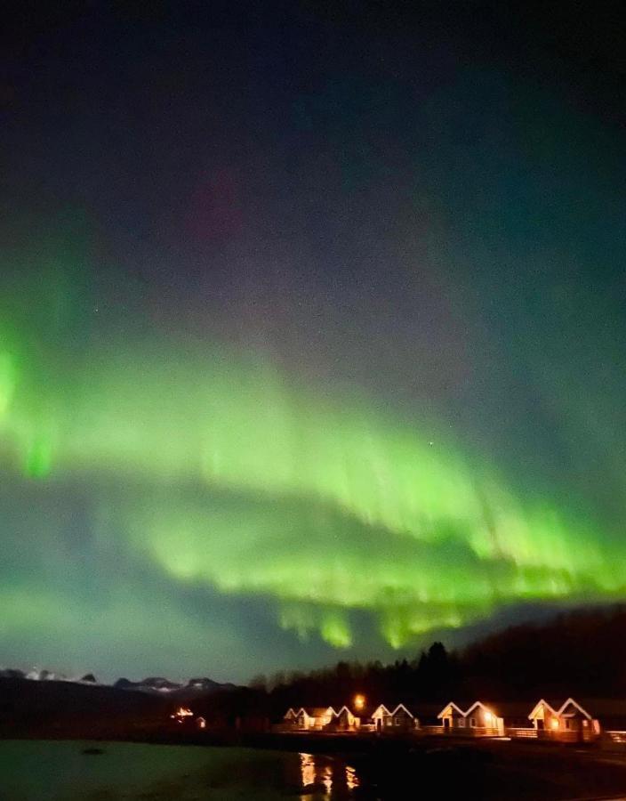 Idyllisk Sjohus Pa Naurstad Bodo Bagian luar foto